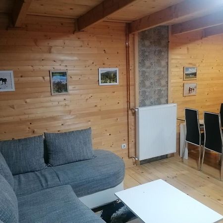 Zlatibor Brvnara Mir Vila Exterior foto