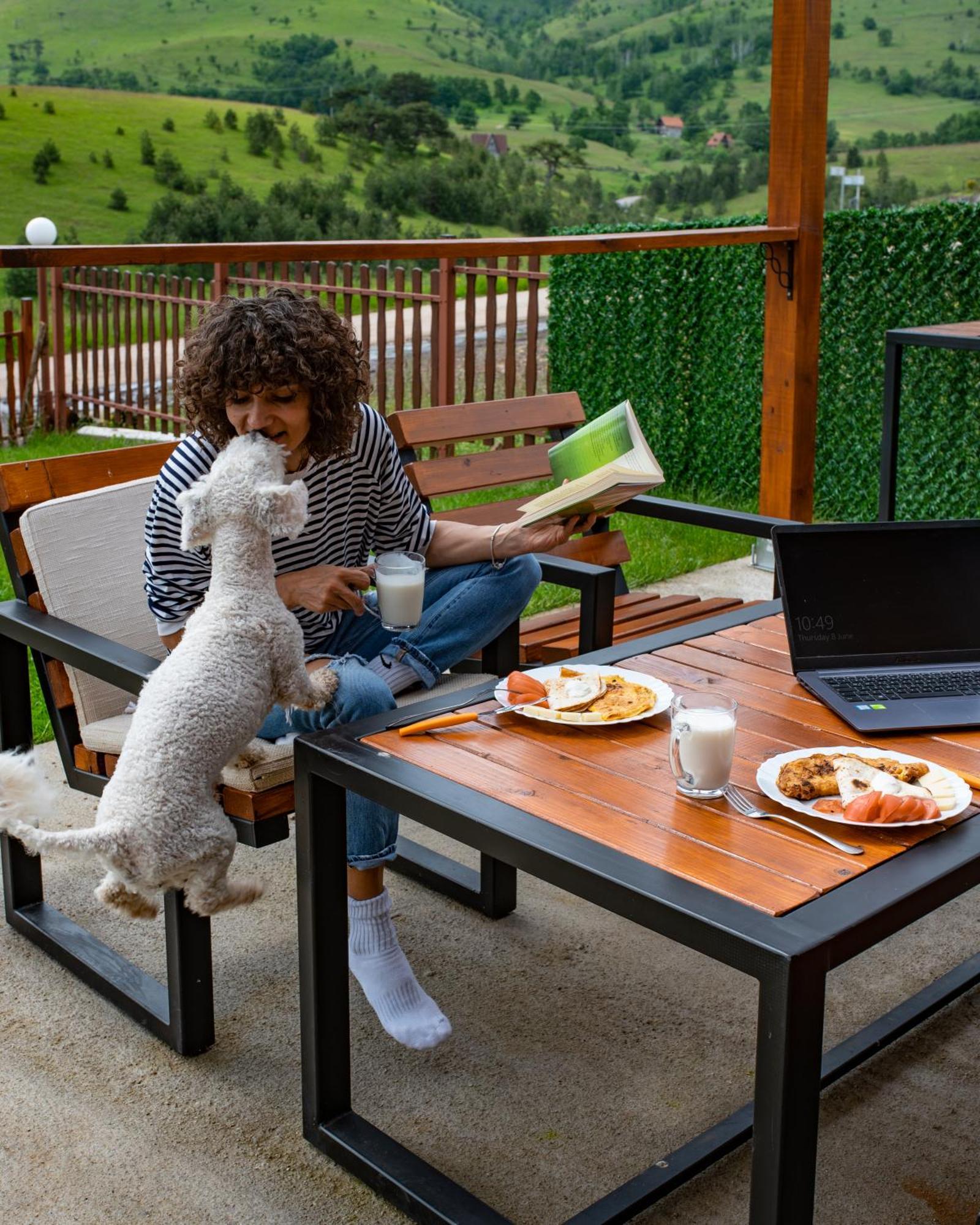 Zlatibor Brvnara Mir Vila Exterior foto